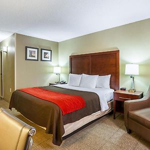 Queen Suite